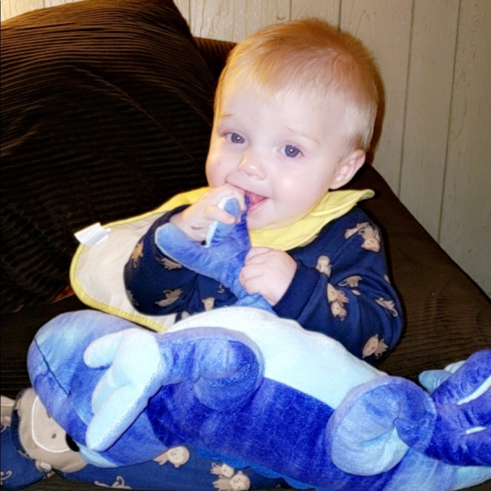 Meet your Posher, Chandra